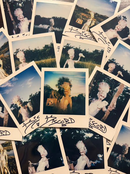 Albino Alligator Polaroid - SIGNED